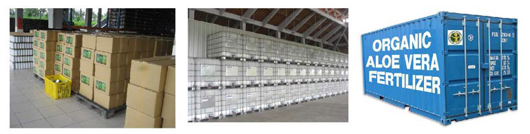 Packaged aloe vera fertilizer and shipping container
