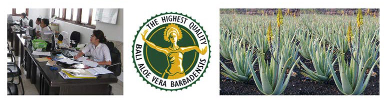 Office team, aloe vera quality logo, and aloe vera field
